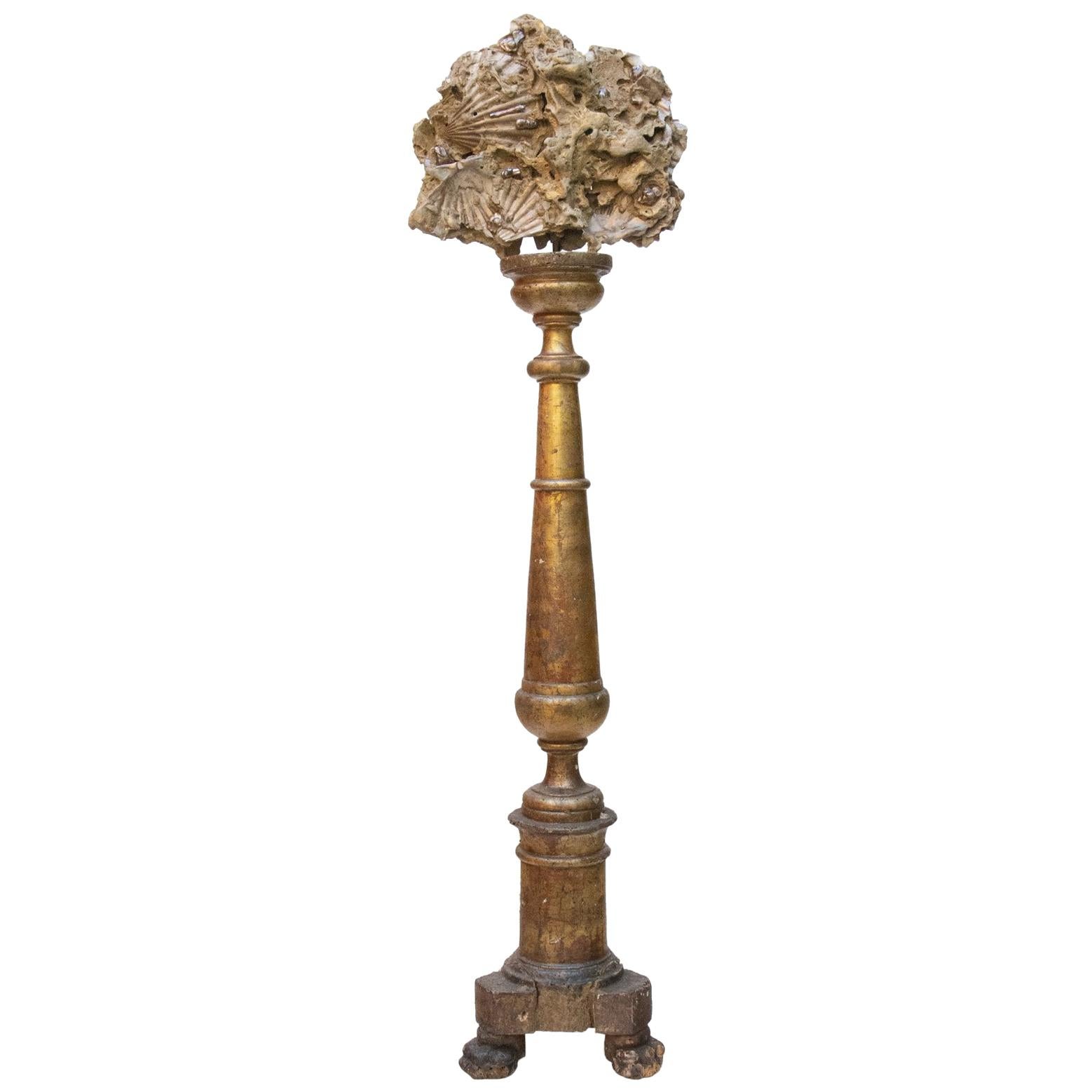 18th Century Italian Altar Stick with a Chesapecten Fossil Shell and Pearls 