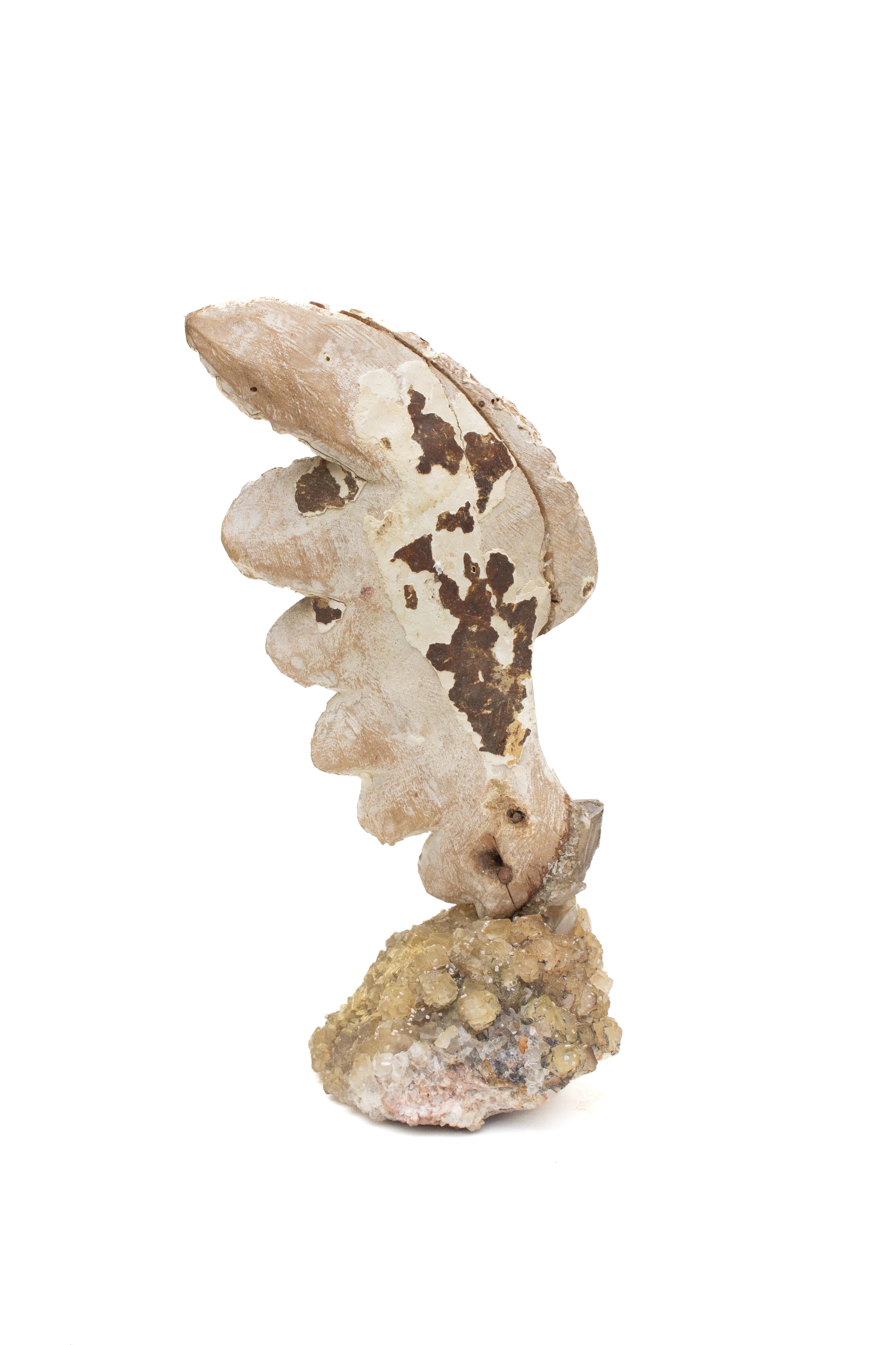 Quartz 18th Century Italian Angel Wing on a Calcite Cluster with Citrine Points For Sale