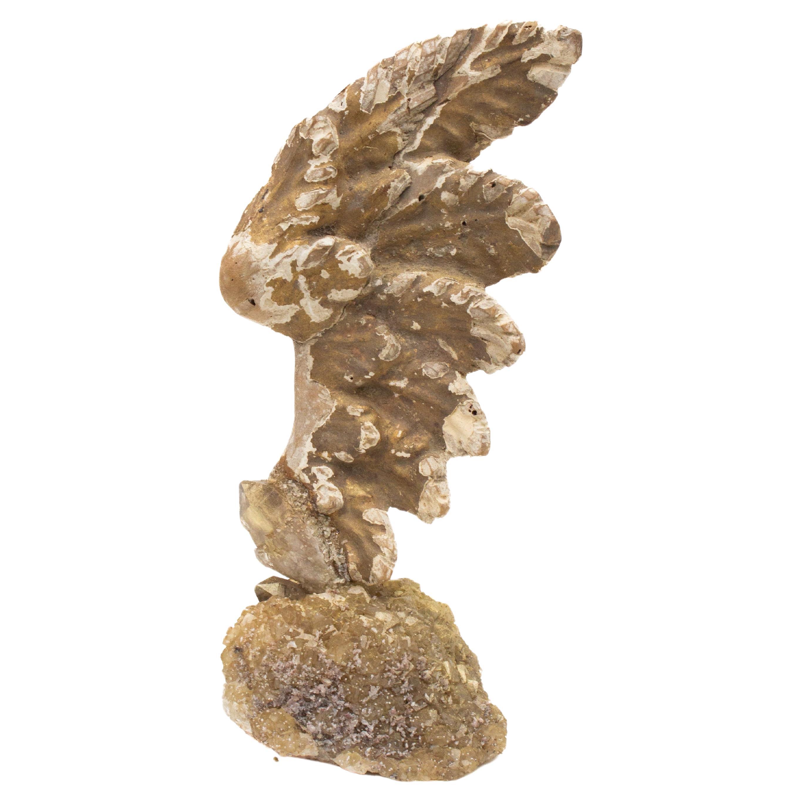 18th Century Italian Angel Wing on a Calcite Cluster with Citrine Points