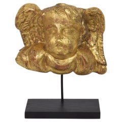 18th Century Italian Baroque Carved Giltwood Angel Head on Wings