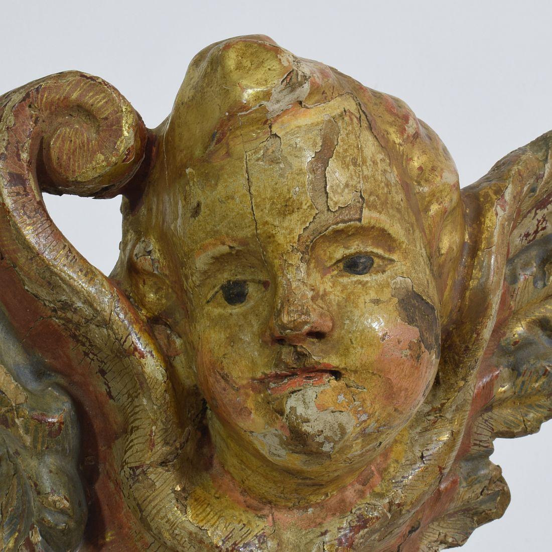 18th Century Italian Baroque Carved Wooden Angel Head on a Wing 5