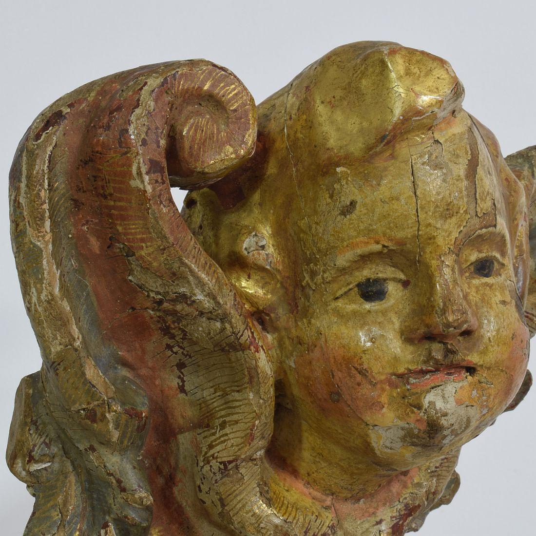 18th Century Italian Baroque Carved Wooden Angel Head on a Wing 7