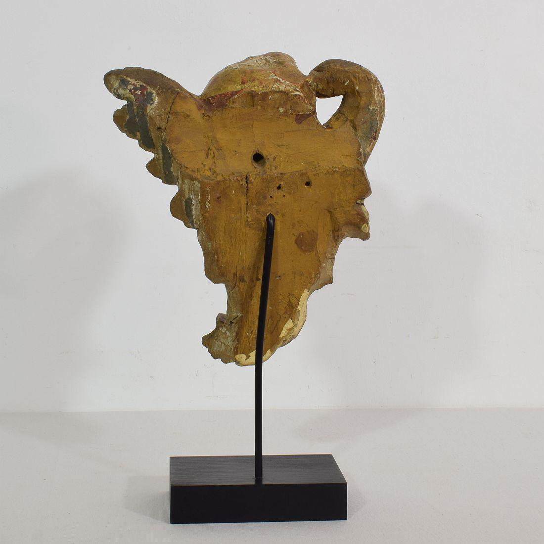 18th Century and Earlier 18th Century Italian Baroque Carved Wooden Angel Head on a Wing