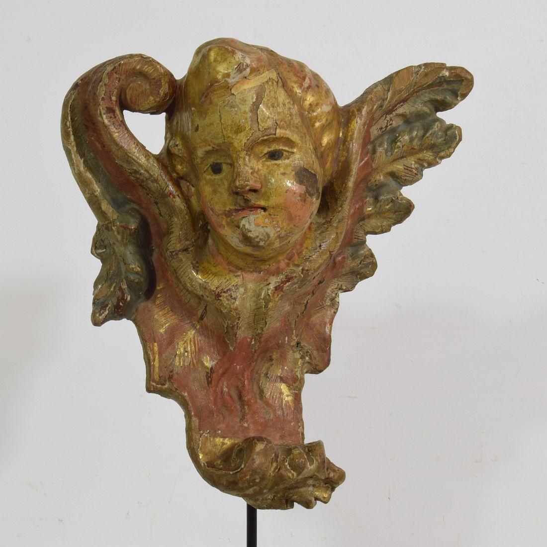 18th Century Italian Baroque Carved Wooden Angel Head on a Wing 2