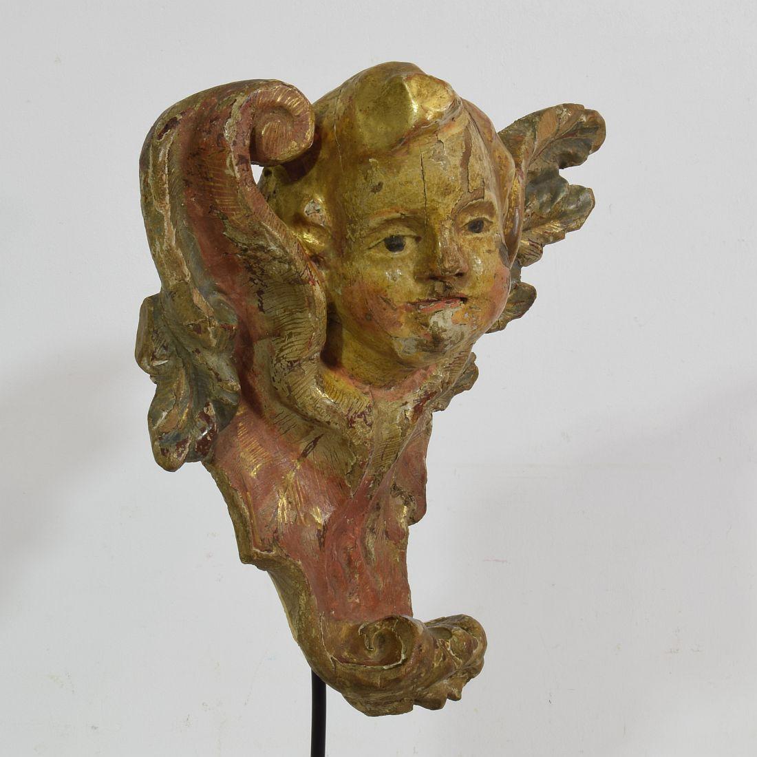 18th Century Italian Baroque Carved Wooden Angel Head on a Wing 3