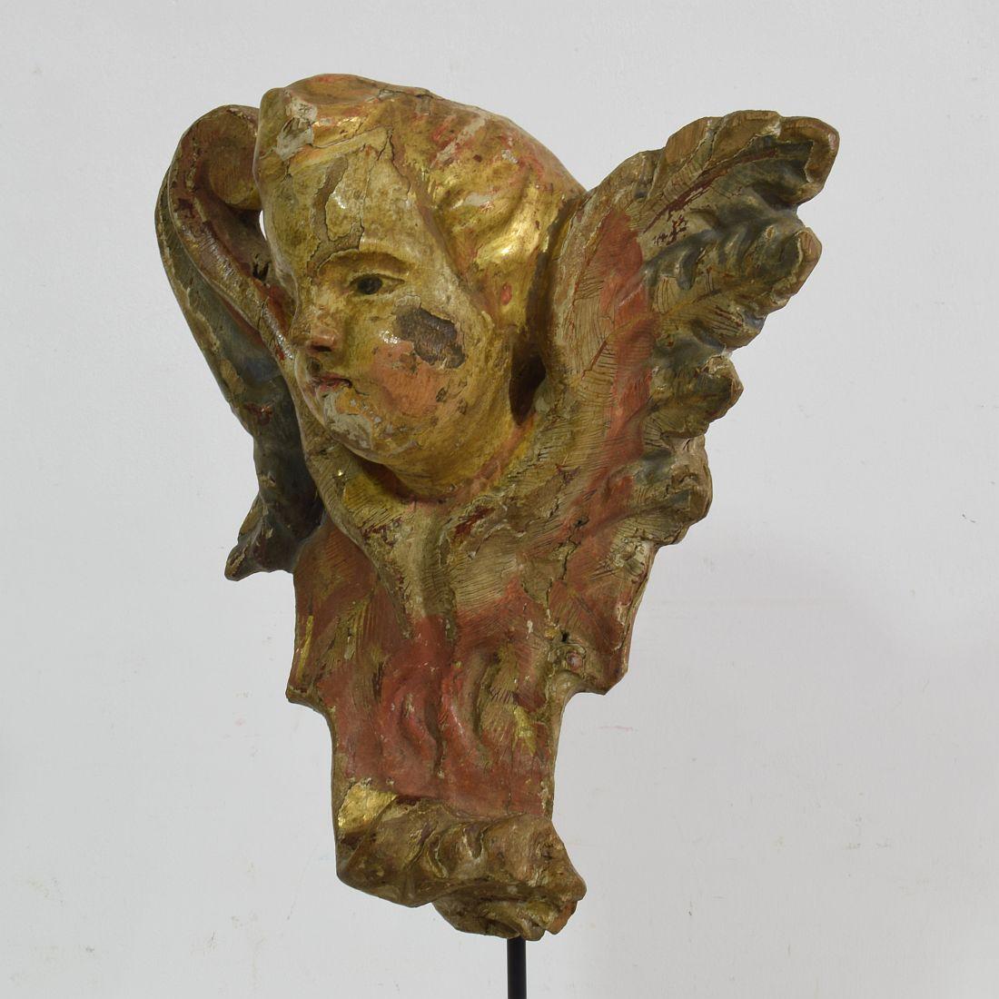 18th Century Italian Baroque Carved Wooden Angel Head on a Wing 4