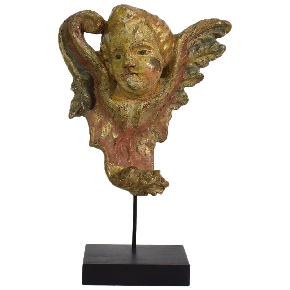 18th Century Italian Baroque Carved Wooden Angel Head on a Wing