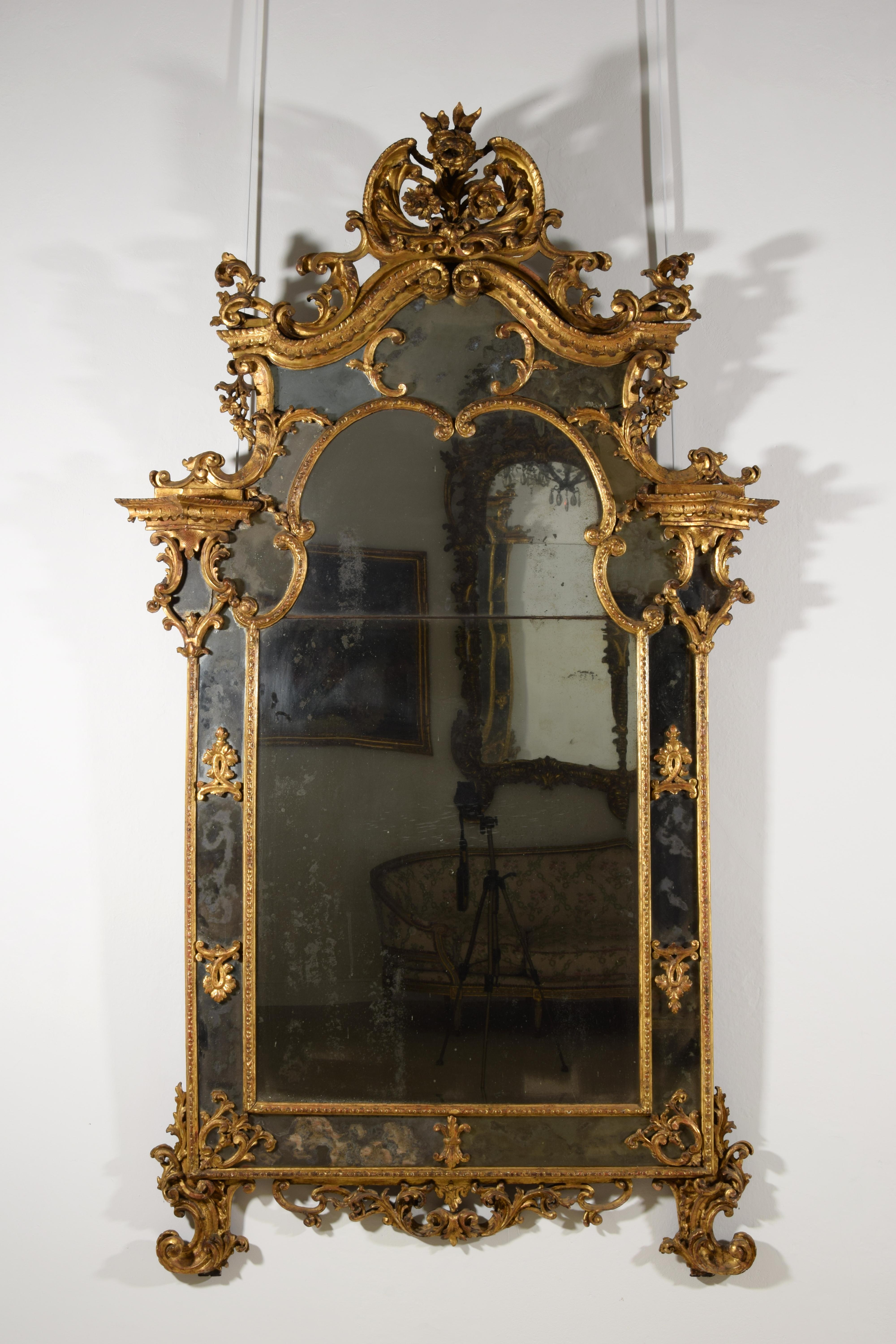 18th Century, Italian Baroque Gitlwood Mirror 6