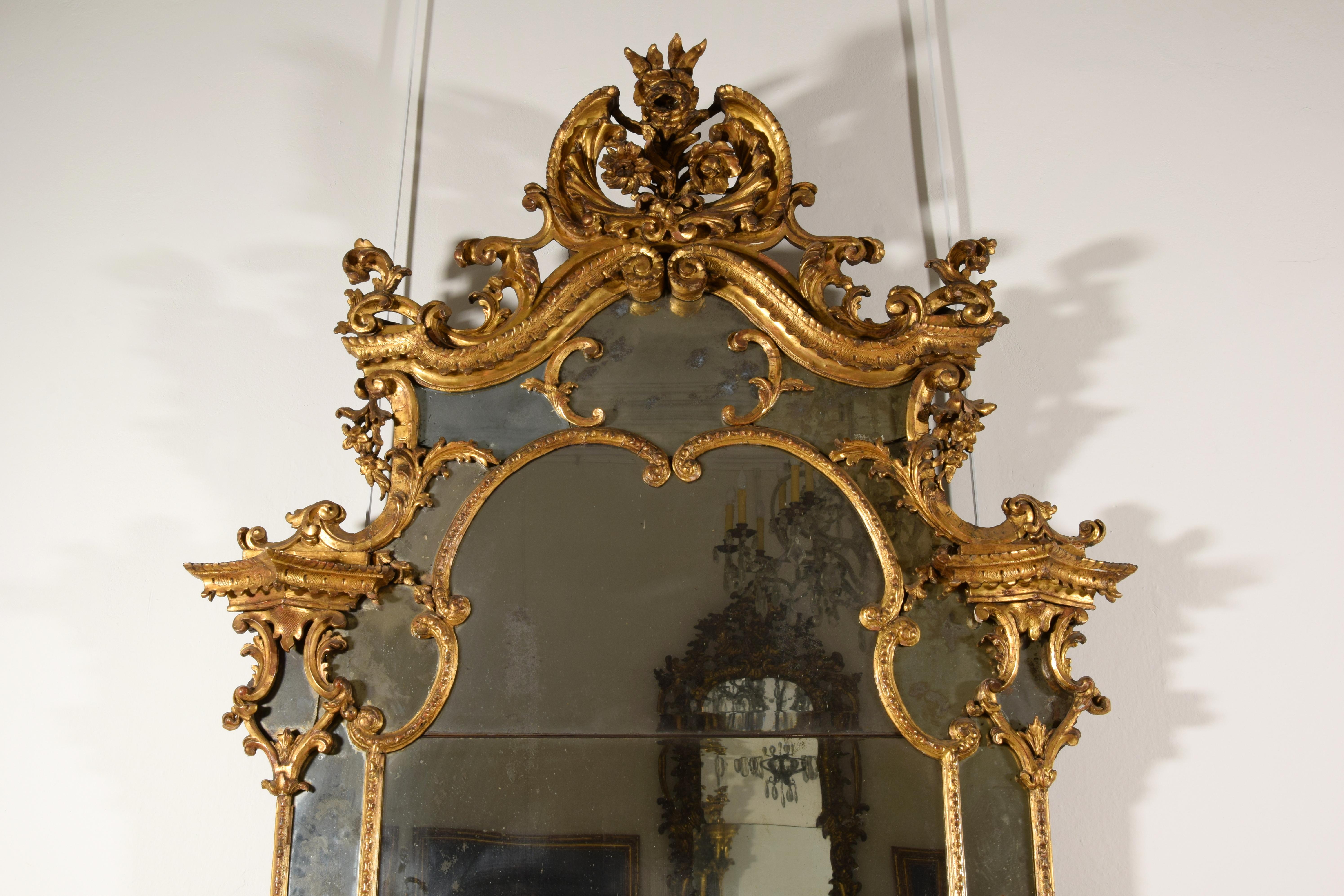 18th Century, Italian Baroque Gitlwood Mirror 8