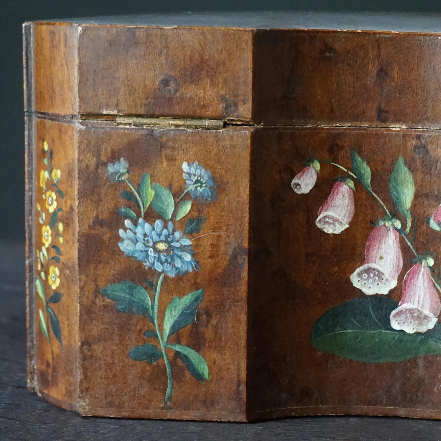 18th Century Italian Baroque Hand Painted Wild Flowers on Burl Wood Tea Caddy 4