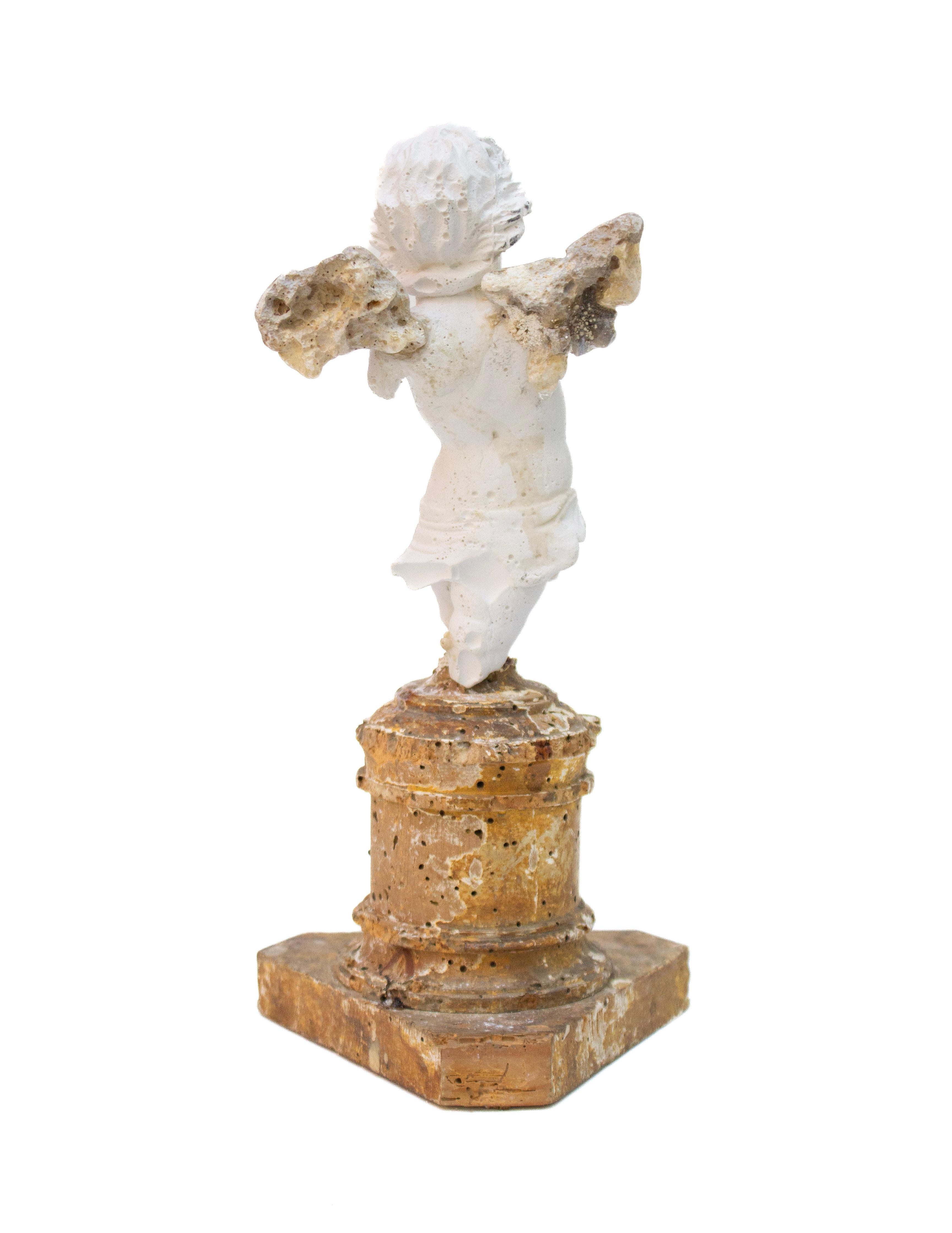 18th Century Italian Base with Plaster Cherub Fragment and Polished Agate Coral For Sale 1
