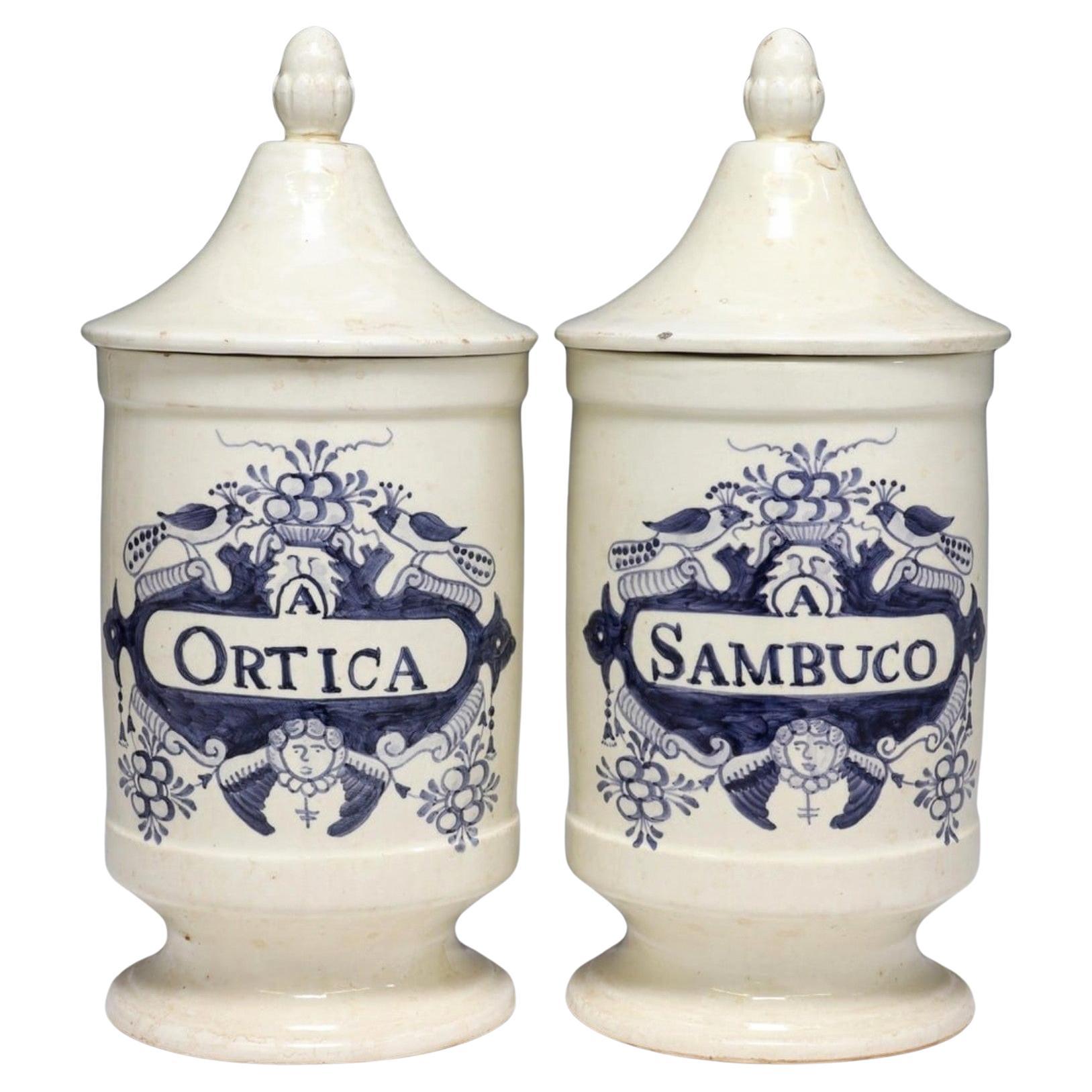 18th Century Italian Blue & White Faience Albarelli Apothecary Jar Pair  For Sale