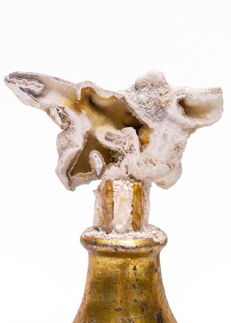 18th century Italian gold leaf candlestick top with polished fossil agate coral and natural forming Baroque pearls. The 18th century fragment comes from Tuscany and has the original candlestick wax drip-tray attached. Fossil agate coral is Florida's