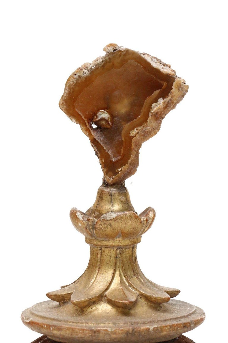 18th century Italian candlestick top decorated with agatized coral and baroque pearl.

The 18th century hand carved candlestick top originally came from a candlestick from a church in Tuscany. The polished agate coral is mounted onto the