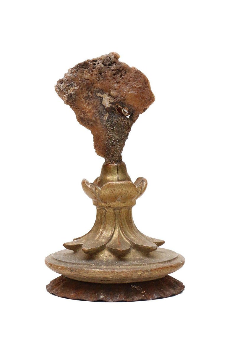 Hand-Carved 18th Century Italian Candlestick Top with Polished Agate Coral and Baroque Pearl