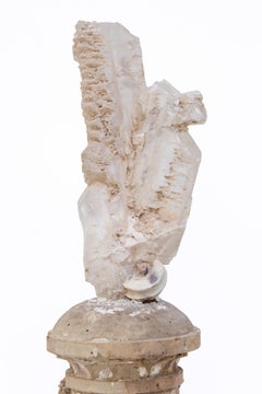 17th Century Italian Candlestick with a Selenite Blade Cluster and Fossil Shells