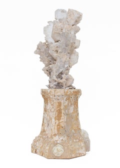 17th Century Italian Candlestick with a Selenite Blade Cluster and Fossil Shells