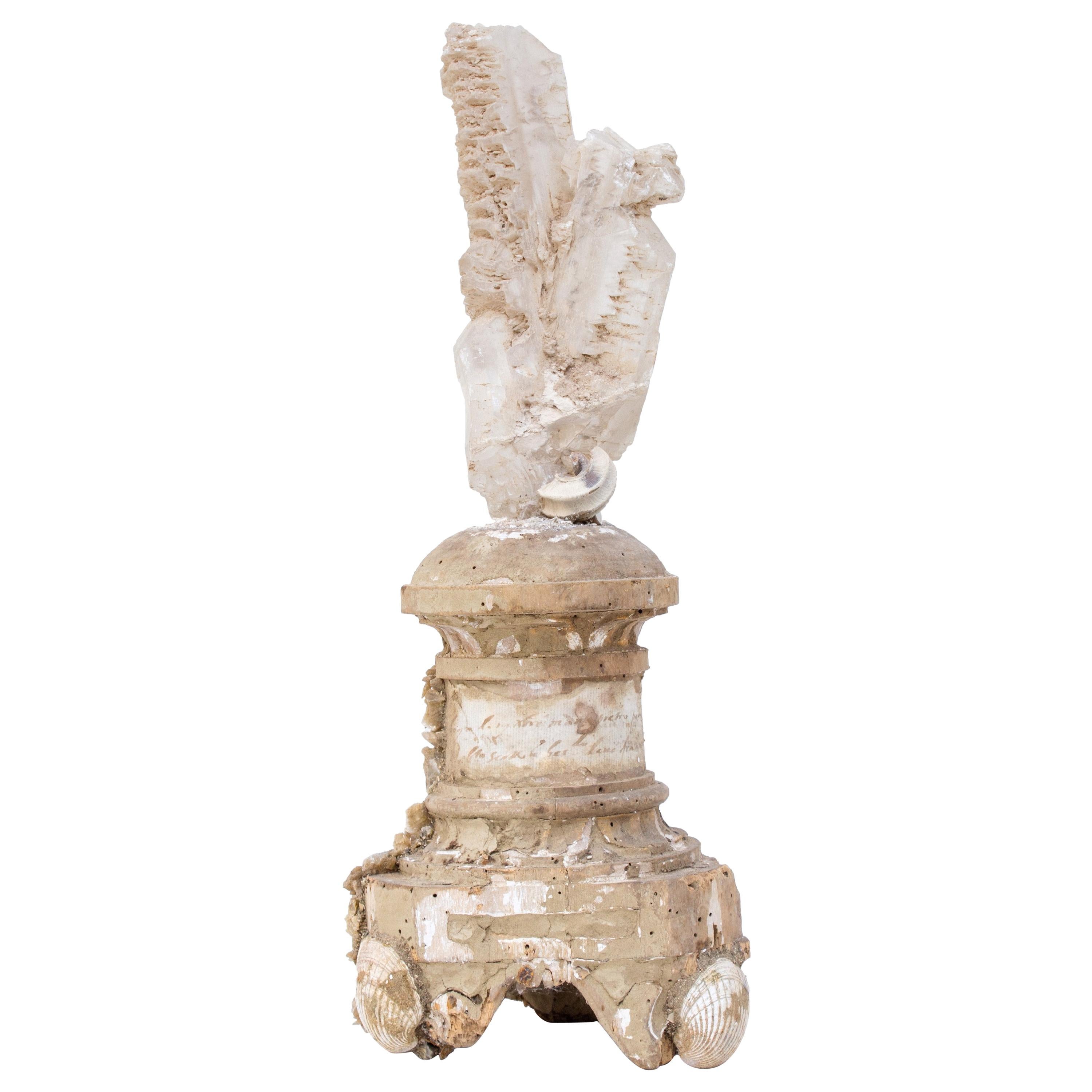 17th Century Italian Candlestick with a Selenite Blade Cluster and Fossil Shells