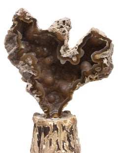 Candeliere italiano del XVIII secolo con corallo fossile di agata su base di agata