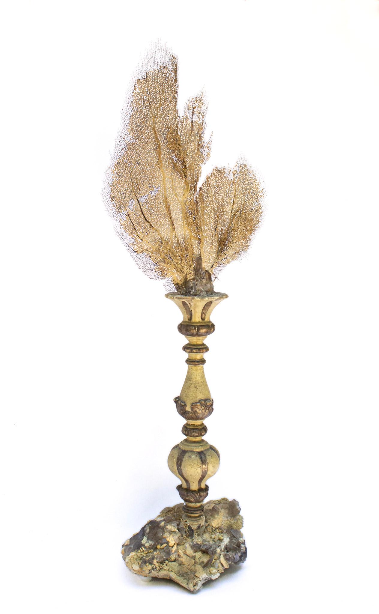 18th century Italian hand-carved candlestick with hand-painted cream tones and distressed silver leaf detailing, darkened with age, with a coordinating fossil sea fan surrounded by un-sulfured citrine crystals and a base of natural formed, raw