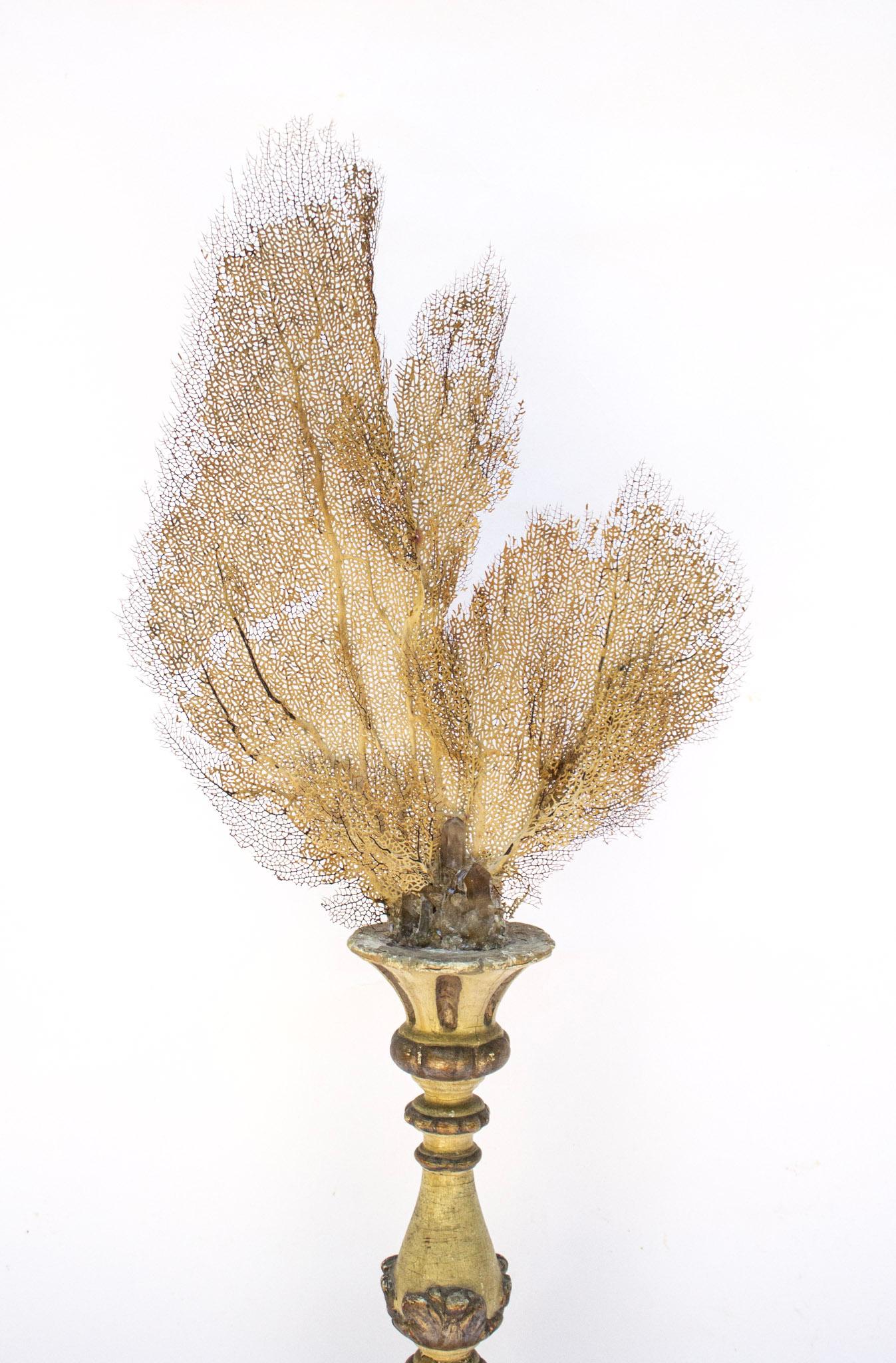 Rococo 18th Century Italian Candlestick with Natural Citrine Crystals and Sea Fan For Sale