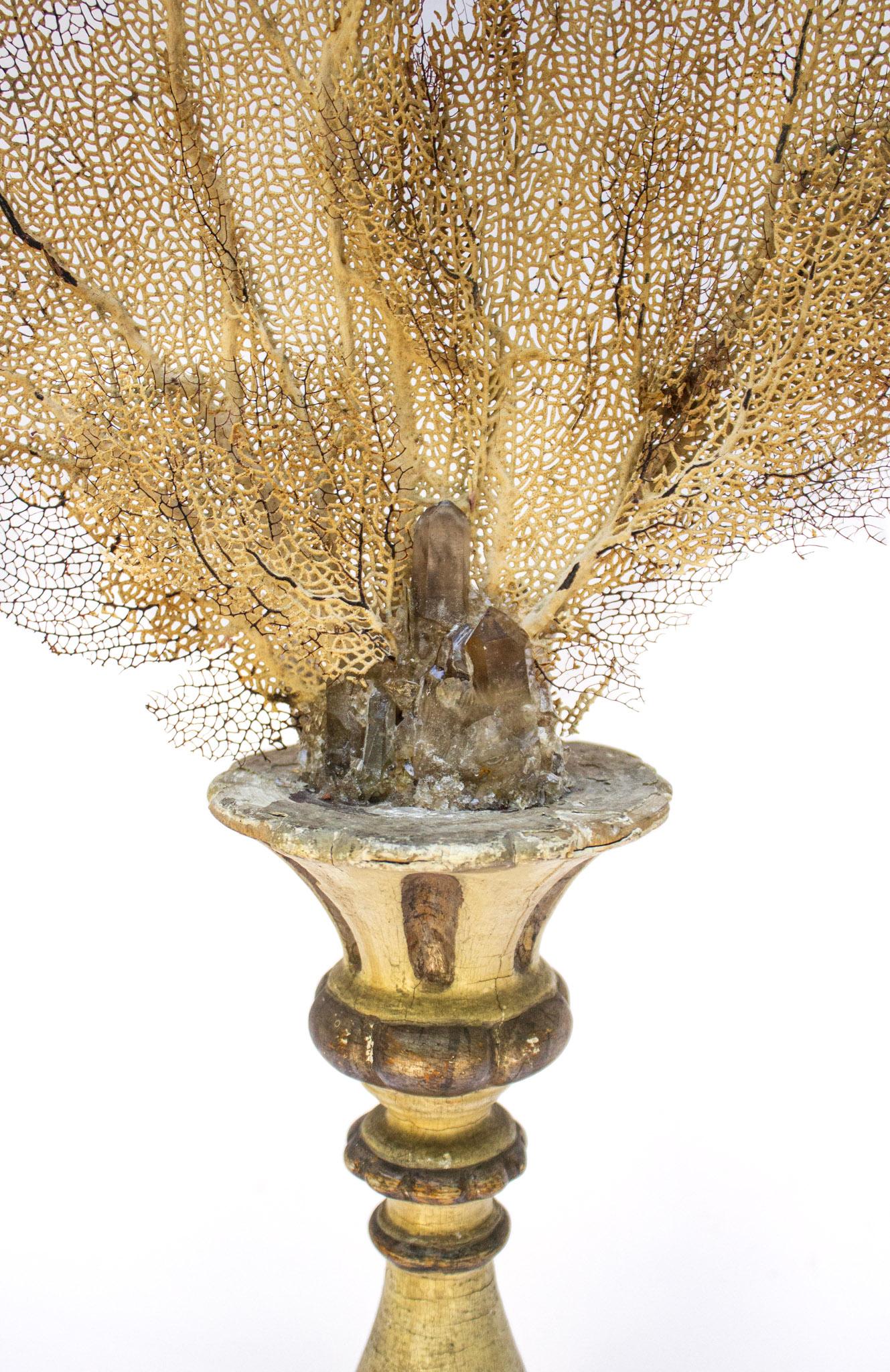 Hand-Carved 18th Century Italian Candlestick with Natural Citrine Crystals and Sea Fan For Sale