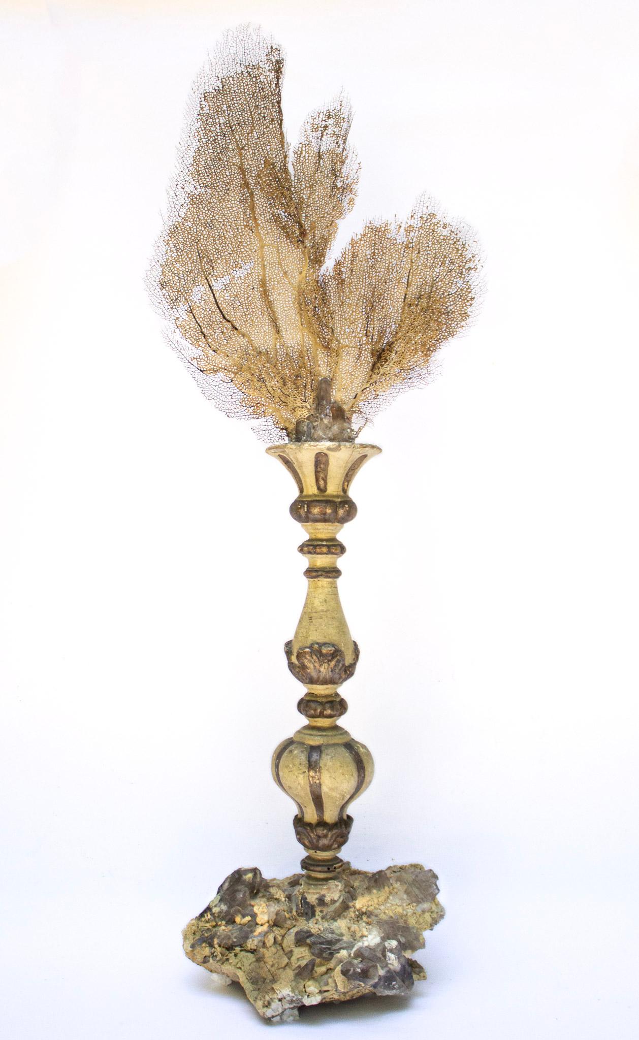 Wood 18th Century Italian Candlestick with Natural Citrine Crystals and Sea Fan For Sale