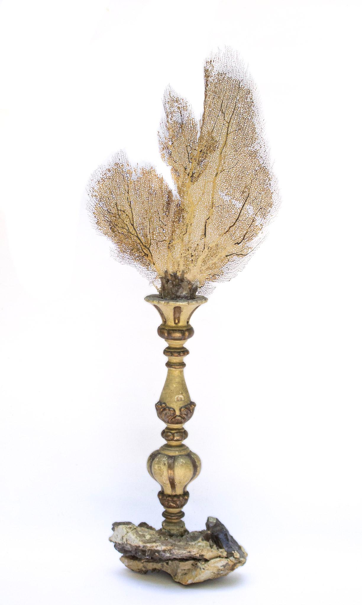 18th Century Italian Candlestick with Natural Citrine Crystals and Sea Fan For Sale 1