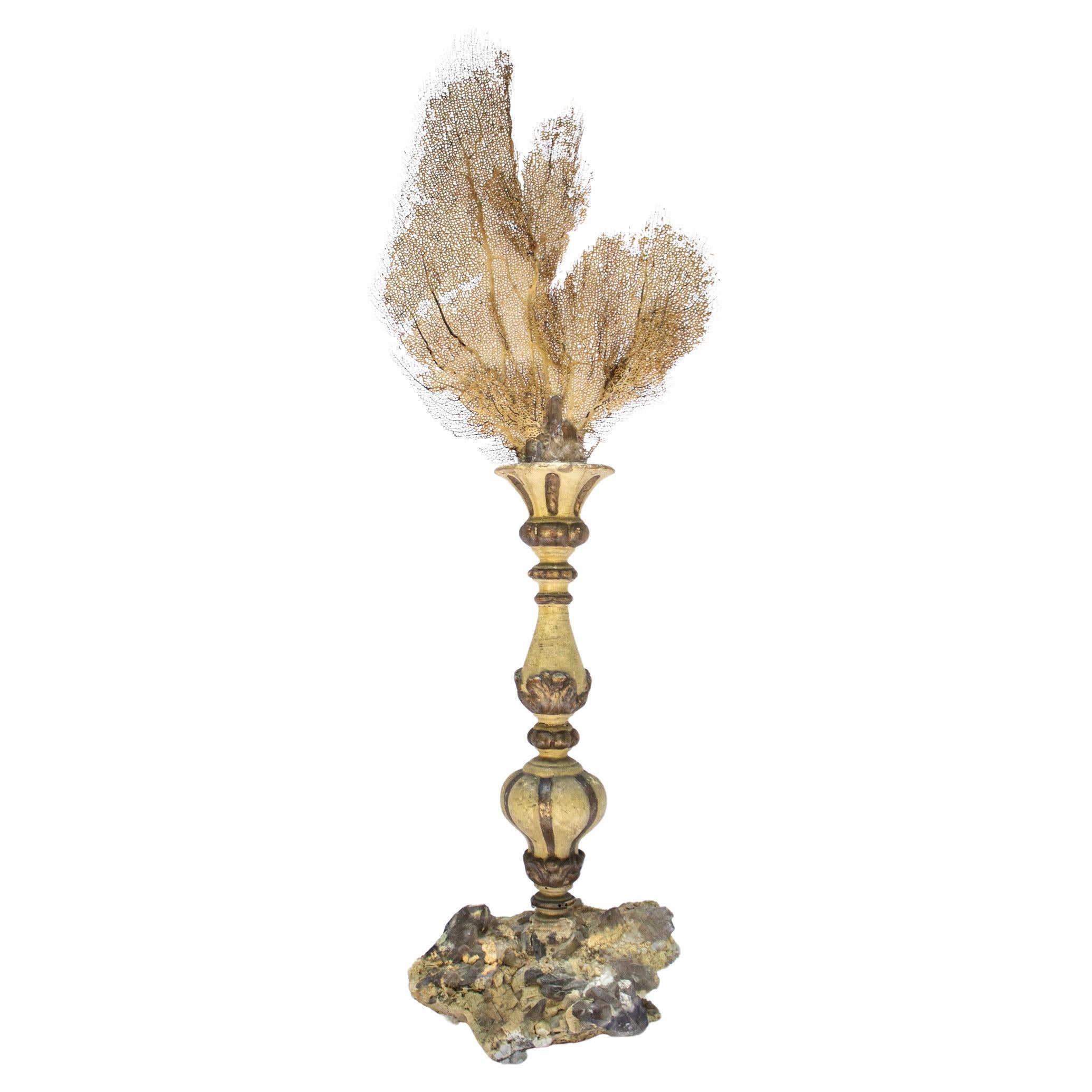 18th Century Italian Candlestick with Natural Citrine Crystals and Sea Fan For Sale