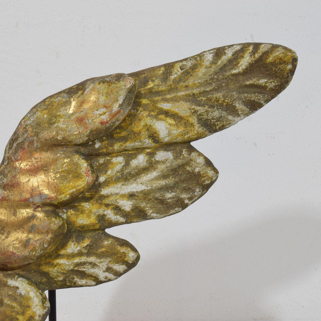Ala di angelo barocco in legno dorato intagliato del XVIII secolo in vendita 2