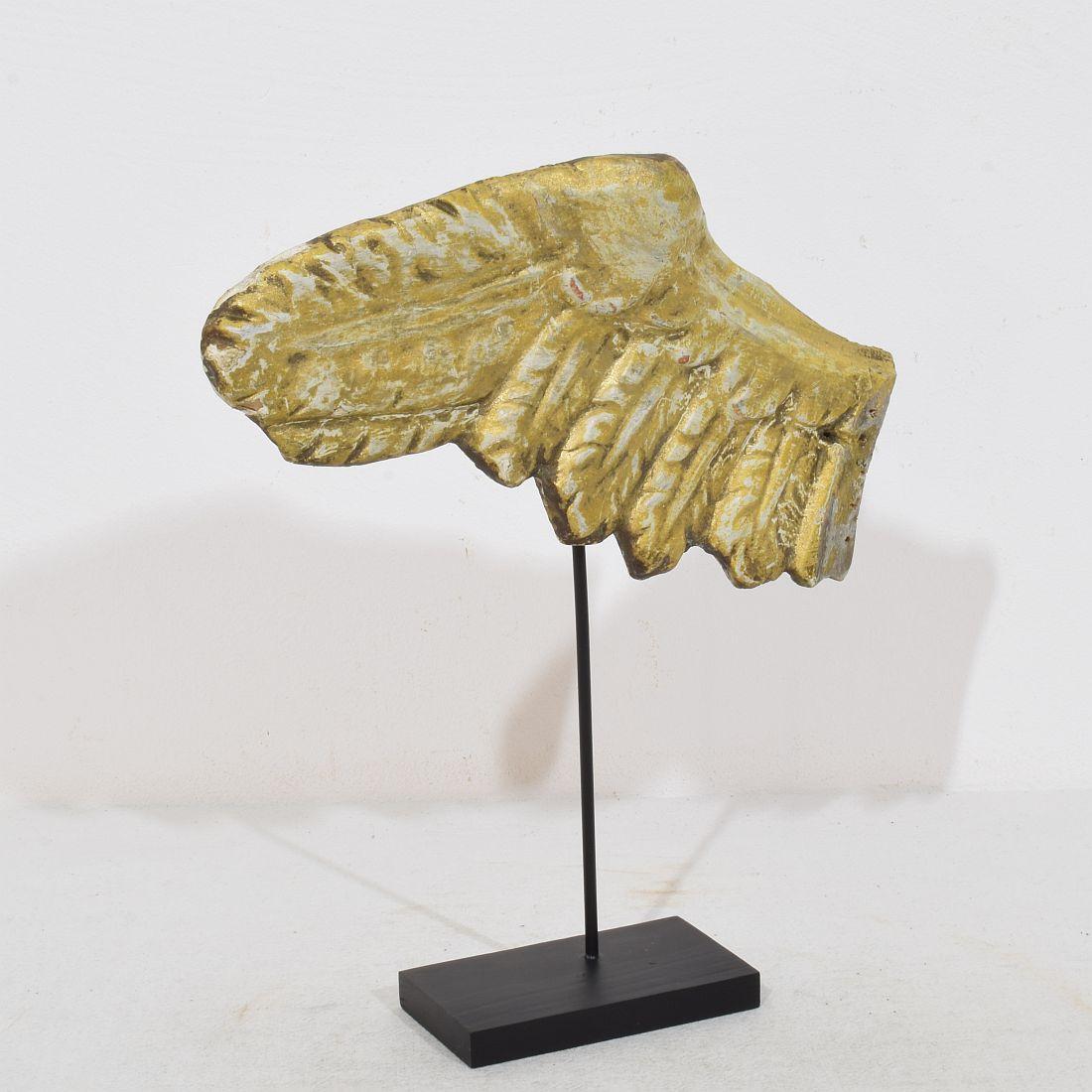 18. Jahrhundert, Italienischer geschnitzter Giltwood-Flügel eines Barockengels (Handgeschnitzt) im Angebot