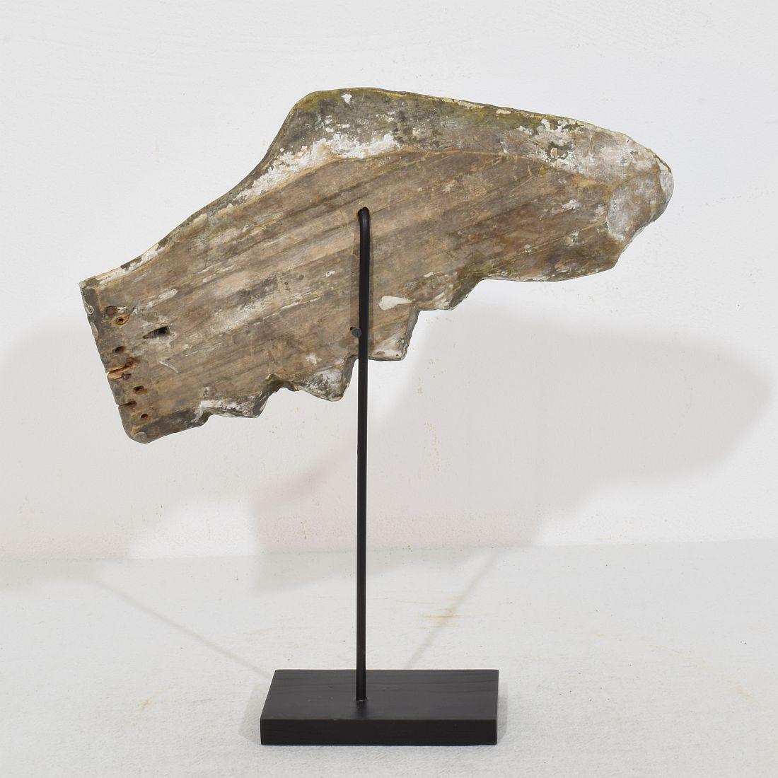 18. Jahrhundert, Italienischer geschnitzter Giltwood-Flügel eines Barockengels (18. Jahrhundert und früher) im Angebot