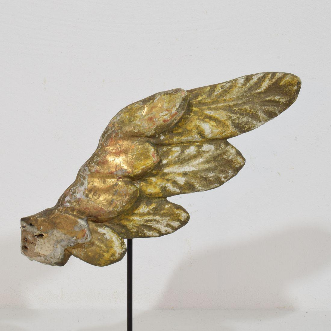 Fino al XVIII secolo Ala di angelo barocco in legno dorato intagliato del XVIII secolo in vendita