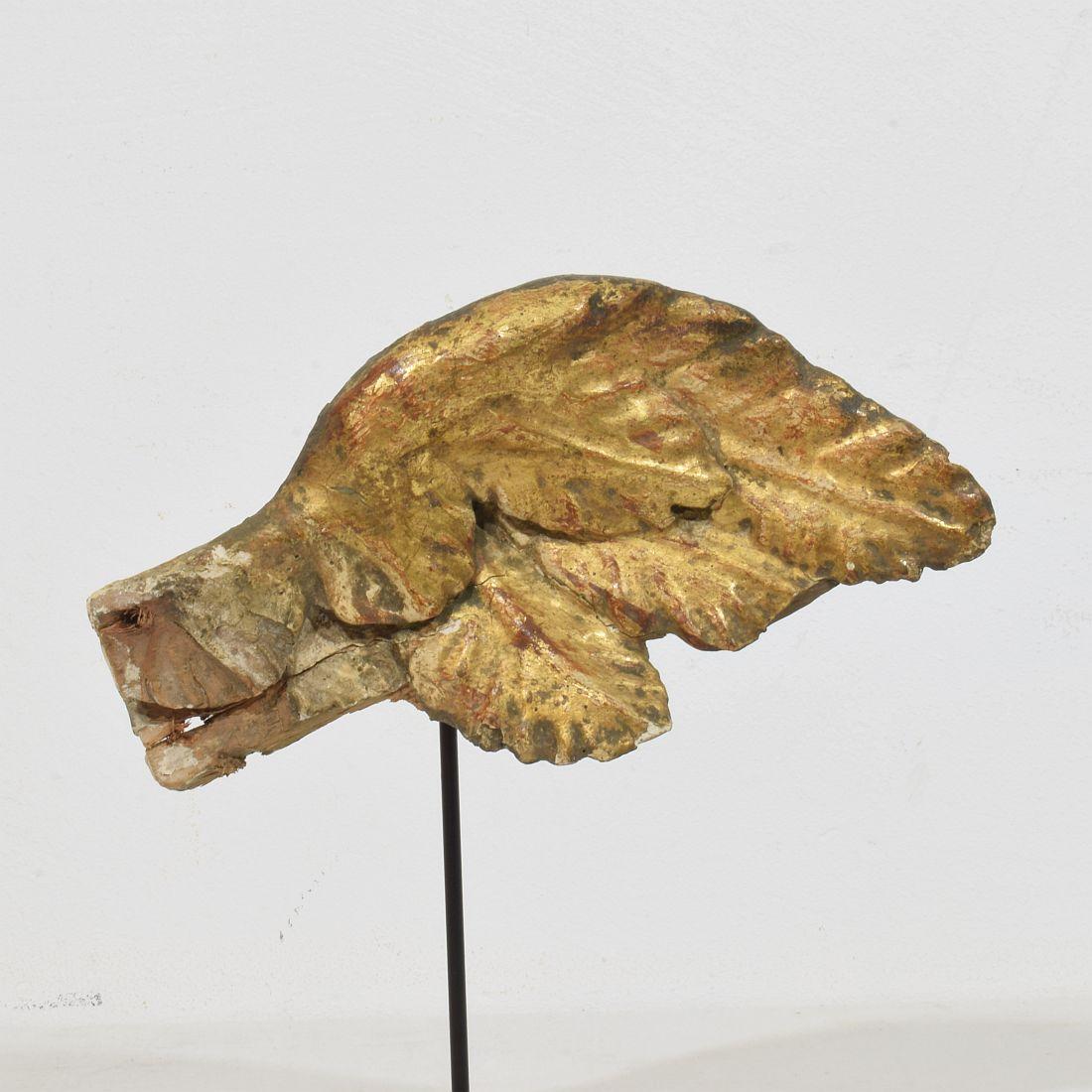 Fino al XVIII secolo Ala di angelo barocco in legno dorato intagliato del XVIII secolo in vendita