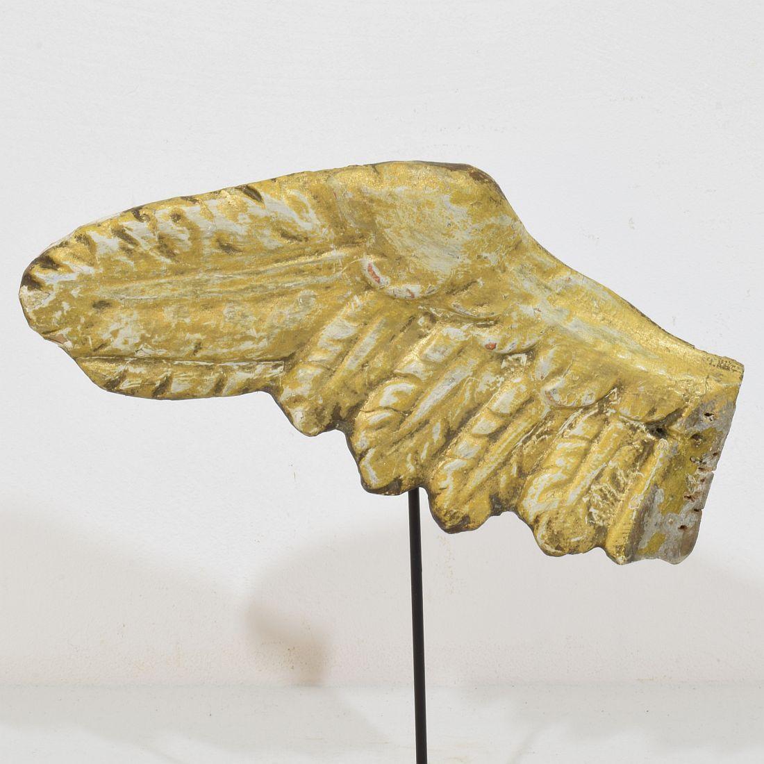 18. Jahrhundert, Italienischer geschnitzter Giltwood-Flügel eines Barockengels im Angebot 1
