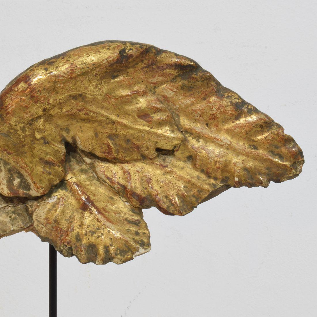 Ala di angelo barocco in legno dorato intagliato del XVIII secolo in vendita 1