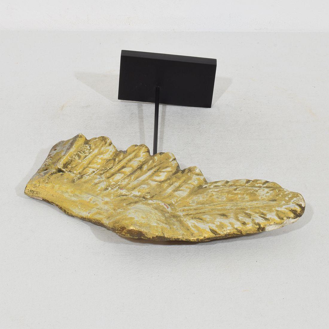 18. Jahrhundert, Italienischer geschnitzter Giltwood-Flügel eines Barockengels im Angebot 3