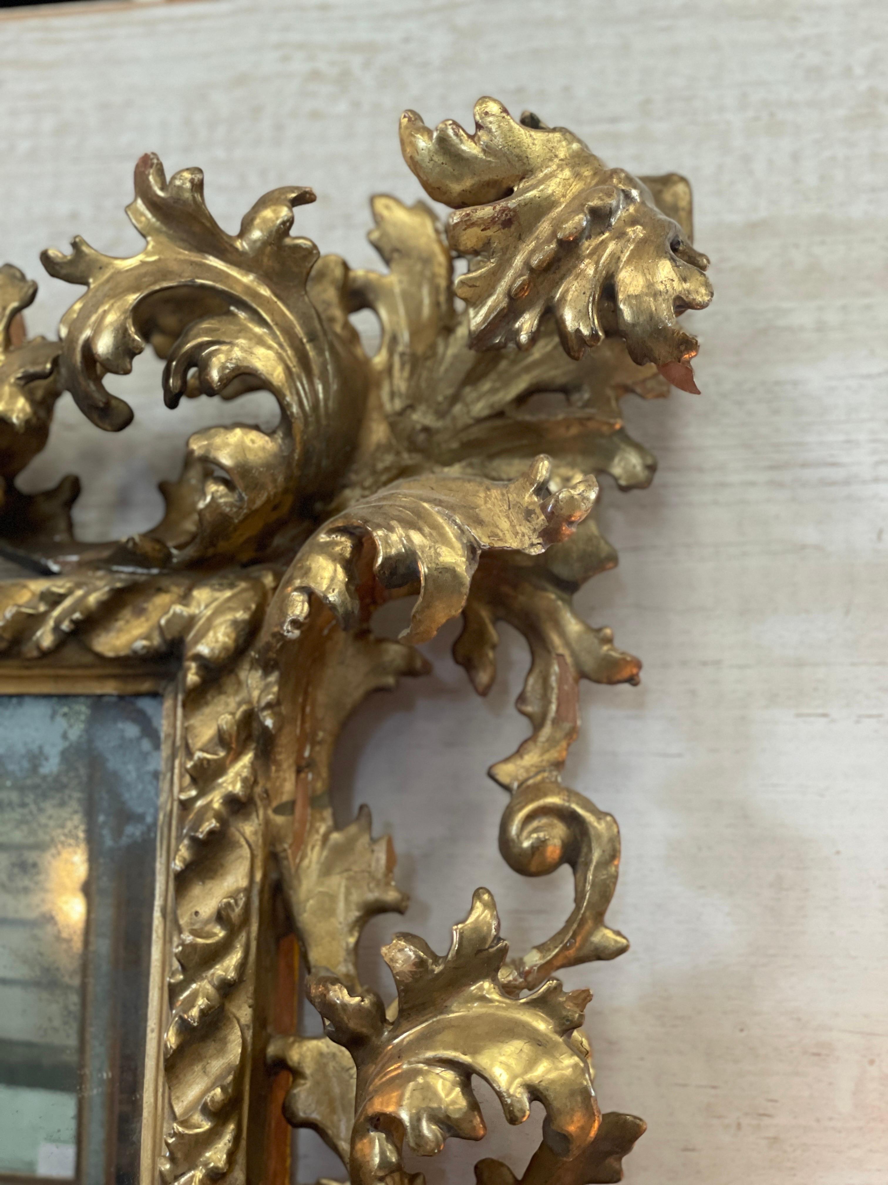 18th Century Italian Carved Rococo Gilt Mirror  For Sale 5