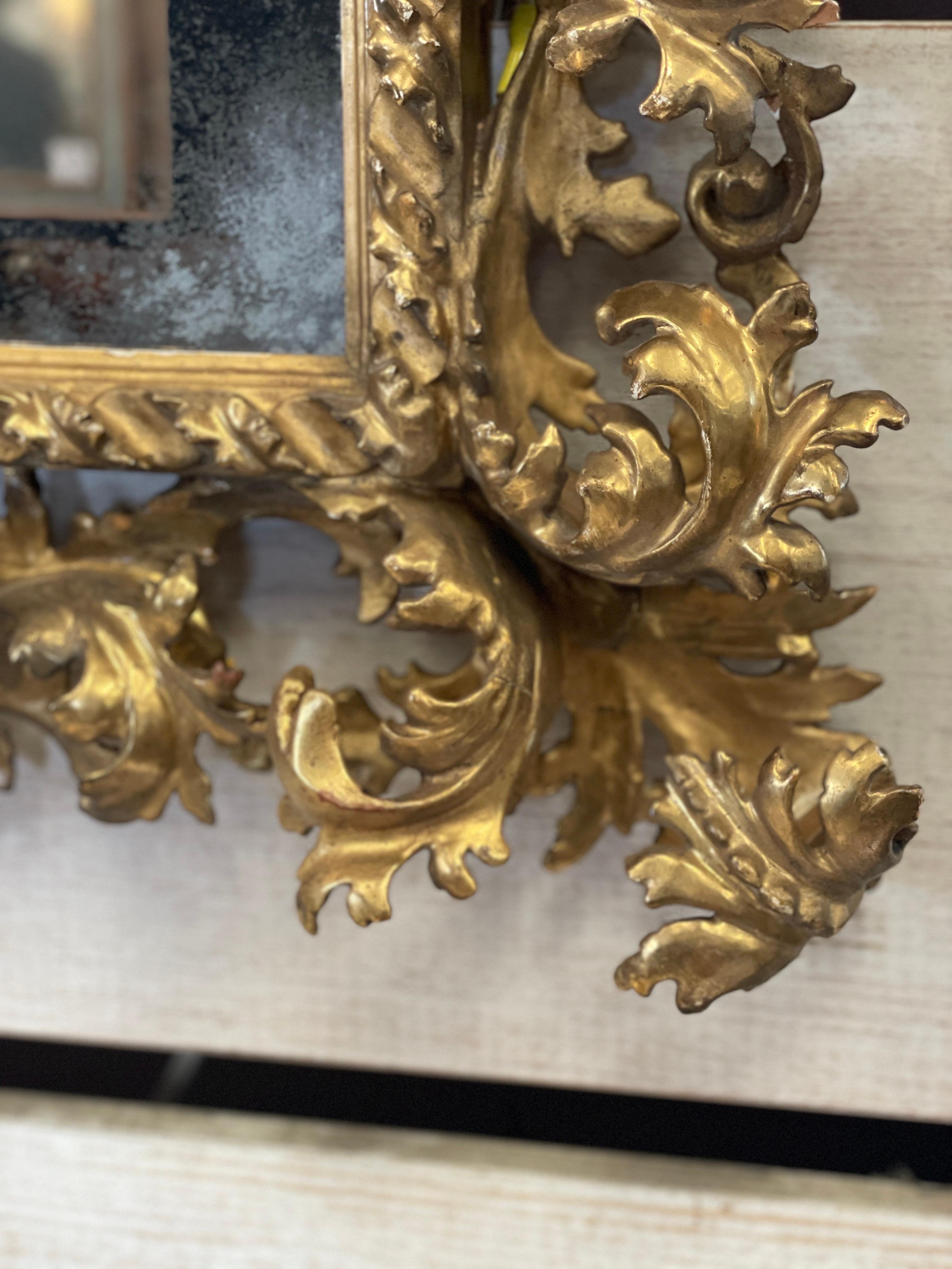 18th Century Italian Carved Rococo Gilt Mirror  For Sale 6