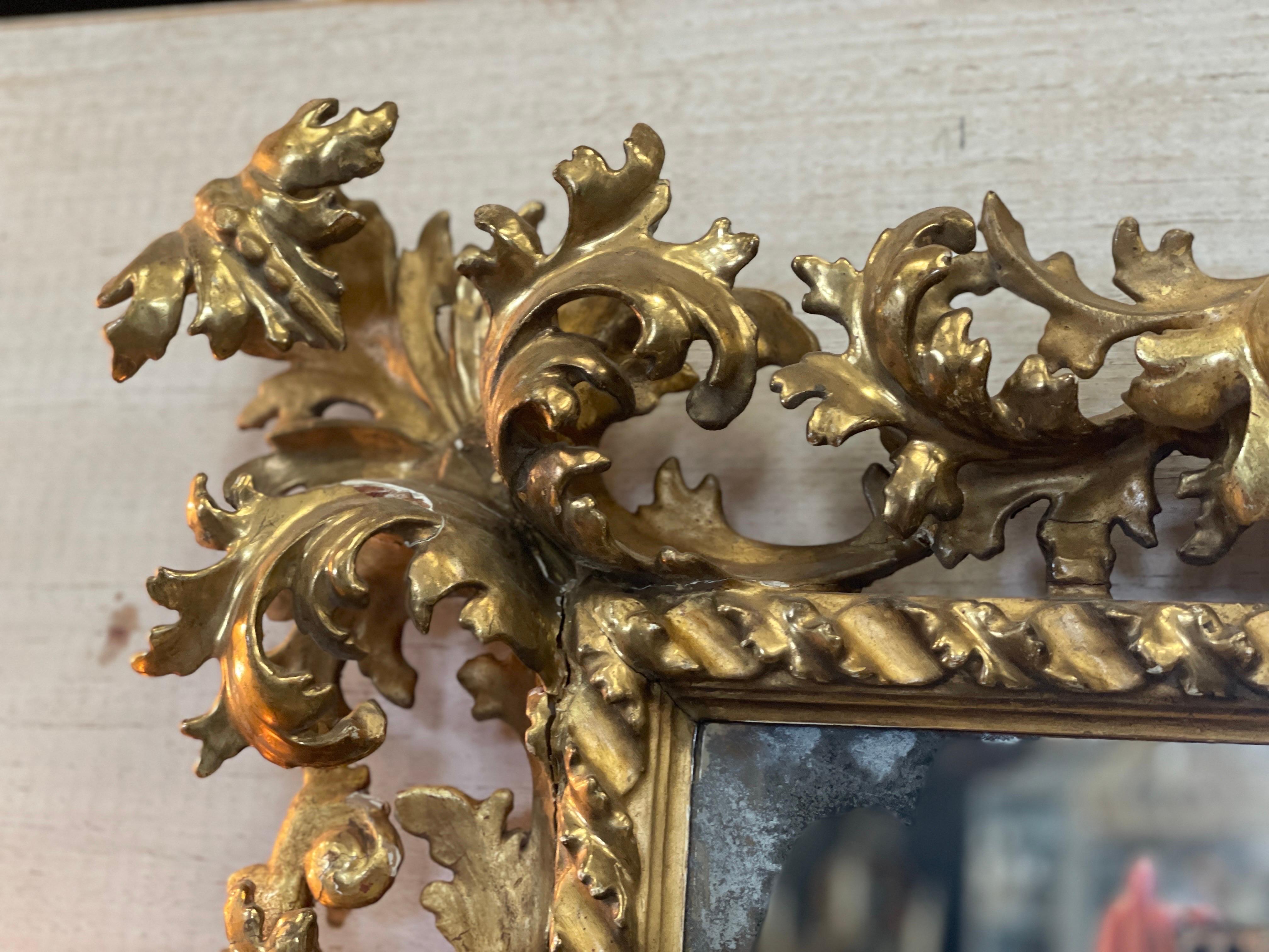 18th Century Italian Carved Rococo Gilt Mirror  For Sale 3