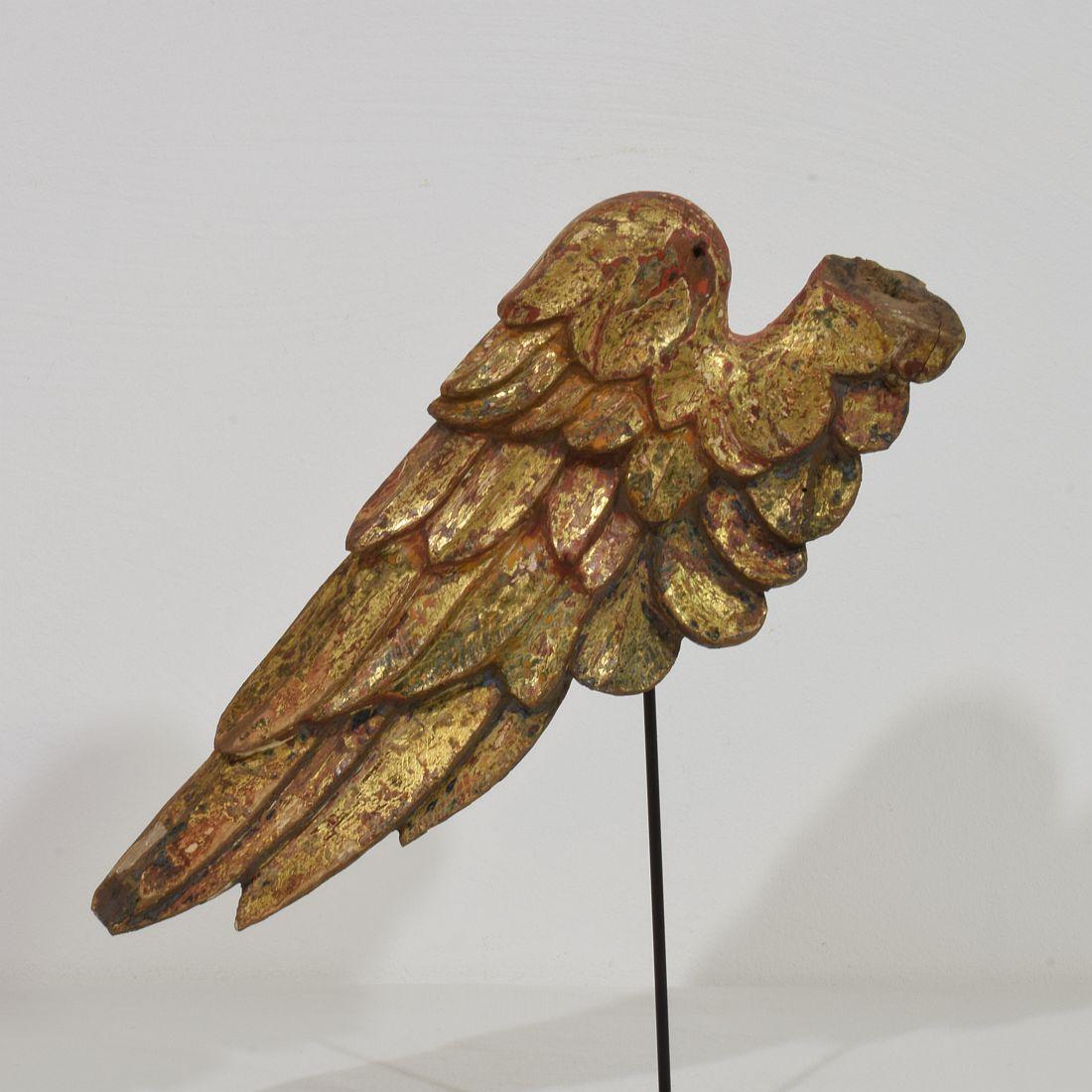 18th Century, Italian Carved Wooden Wing of a Baroque Angel 2