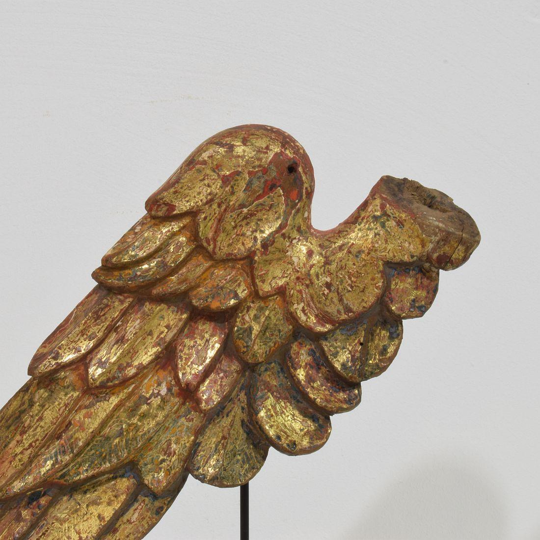 18th Century, Italian Carved Wooden Wing of a Baroque Angel 4
