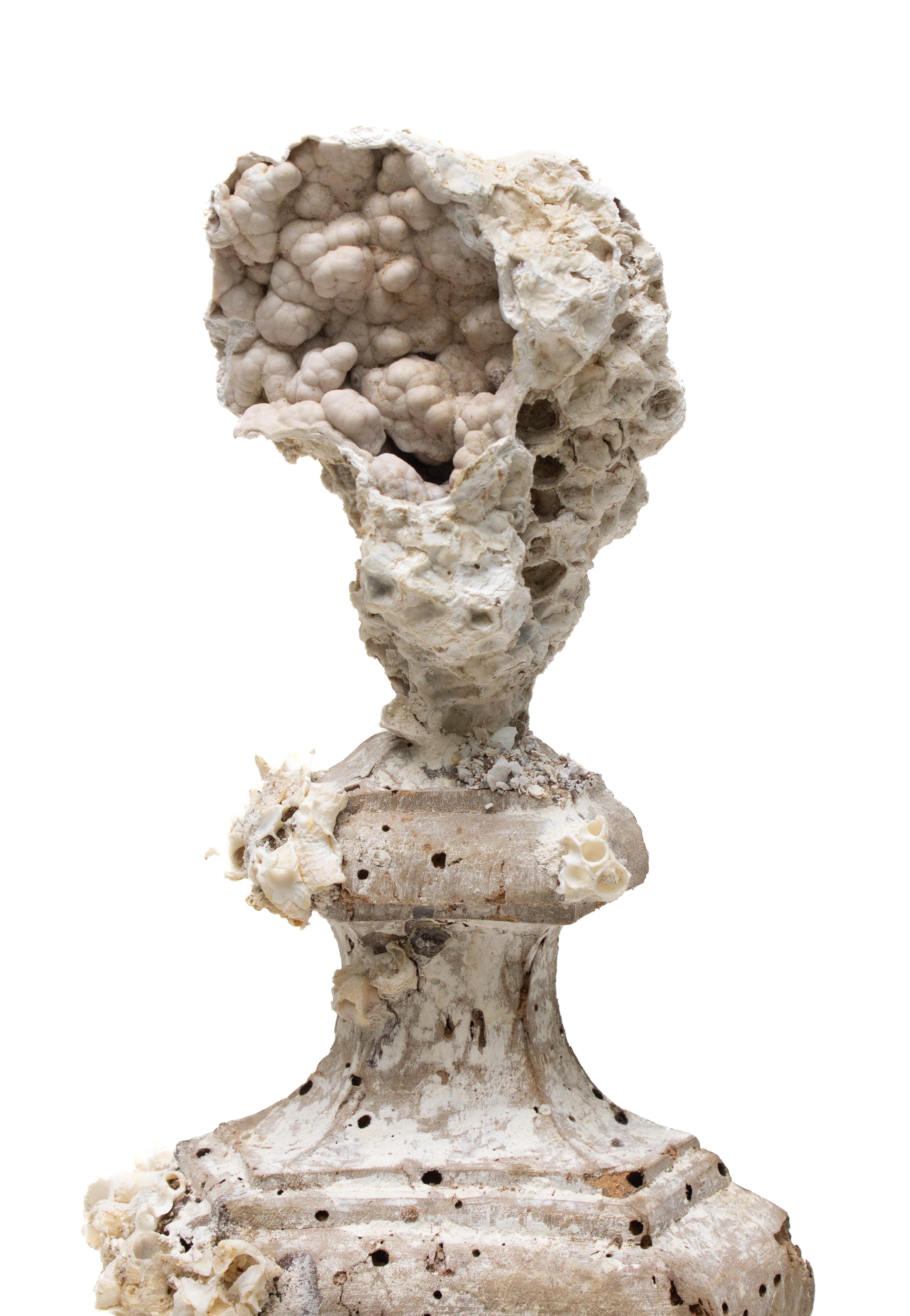 18th Century Italian 'Florence Fragment' Candlestick Base with Fossil Coral In Good Condition For Sale In Dublin, Dalkey