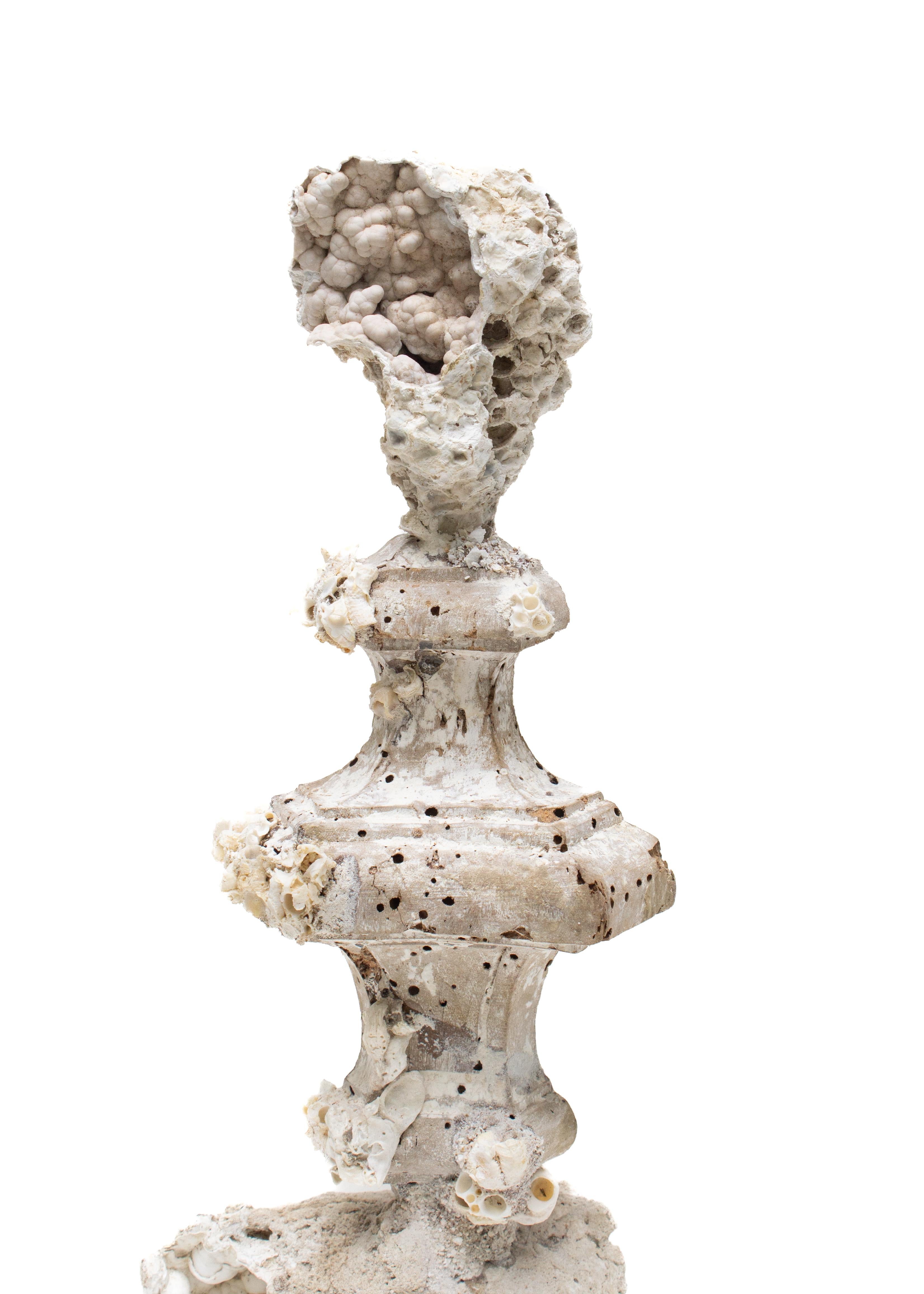 18th Century and Earlier 18th Century Italian 'Florence Fragment' Candlestick Base with Fossil Coral For Sale