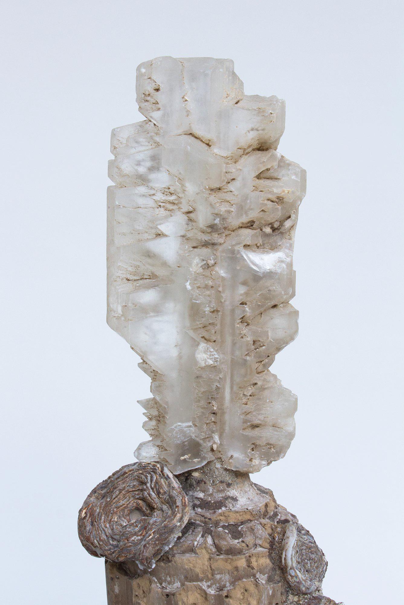 Rococo Chandelier italien du 18ème siècle en forme de fragment de fleur avec Selenite en queue de poisson en vente