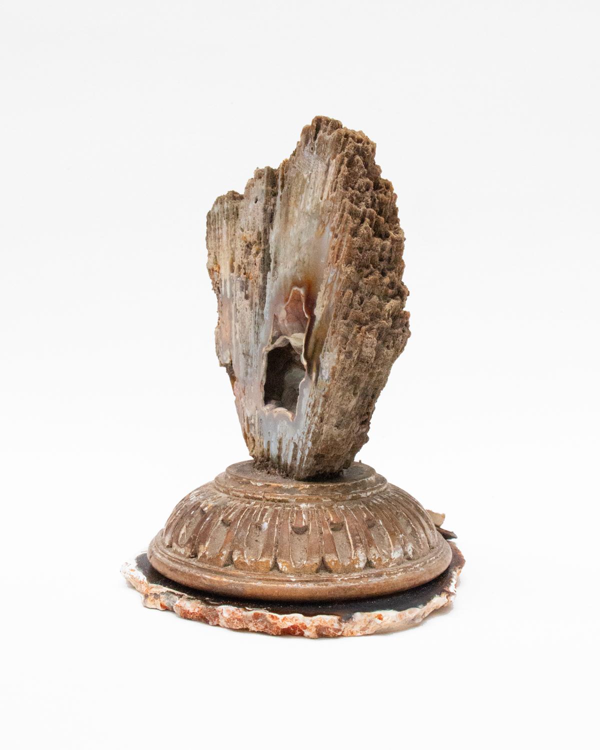 Fragmento de base italiana del siglo XVIII con coral agatizado sobre una rodaja de ágata Italiano en venta