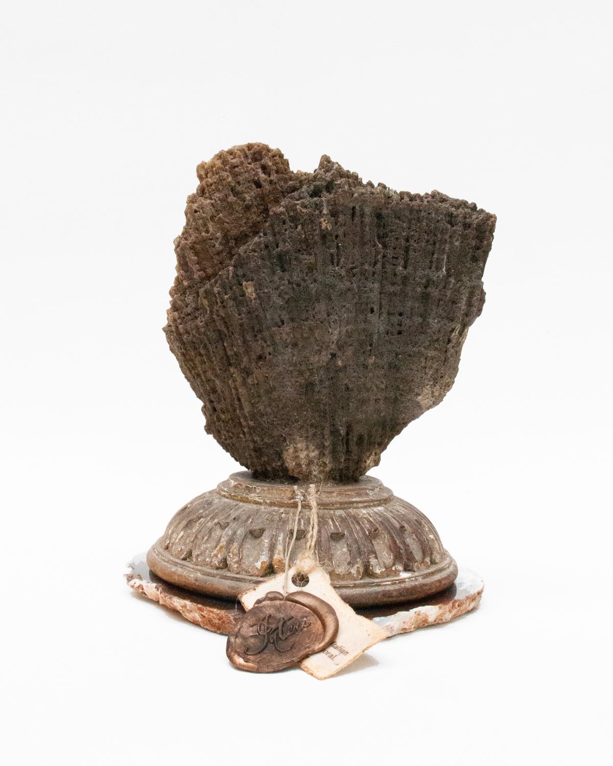 Fragmento de base italiana del siglo XVIII con coral agatizado sobre una rodaja de ágata Tallado a mano en venta