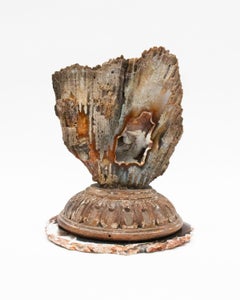 18th Century Italian Fragment Base with Fossil Agate Coral on an Agate Slice