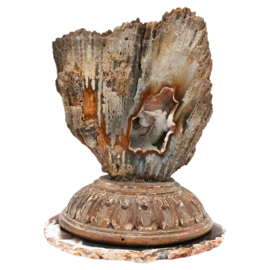 18th Century Italian Fragment Base with Fossil Agate Coral on an Agate Slice