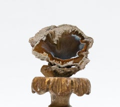 18th Century Italian Fragment Base with Fossil Coral on Polished Agate